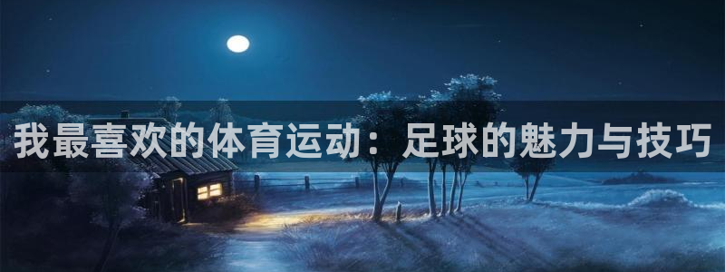 杏宇官网：我最喜欢的体育运动：足球的魅力与技巧