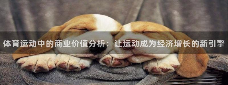 意昂代理：体育运动中的商业价值分析：让运动成为经济增长的新引擎