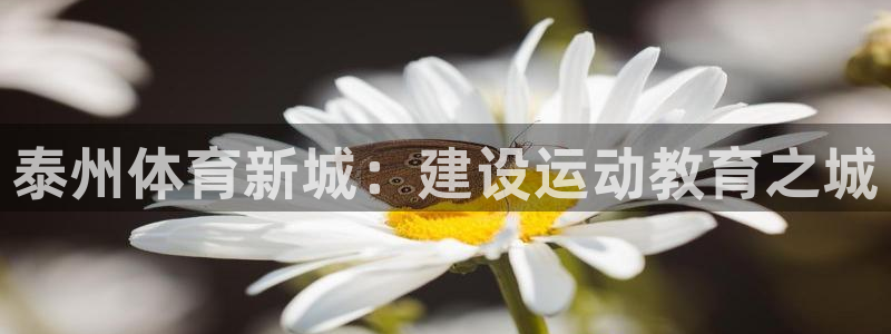 意昂官网注册：泰州体育新城：建设运动教育之城