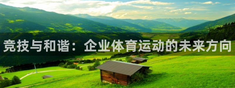 意昂的动画：竞技与和谐：企业体育运动的未来方向