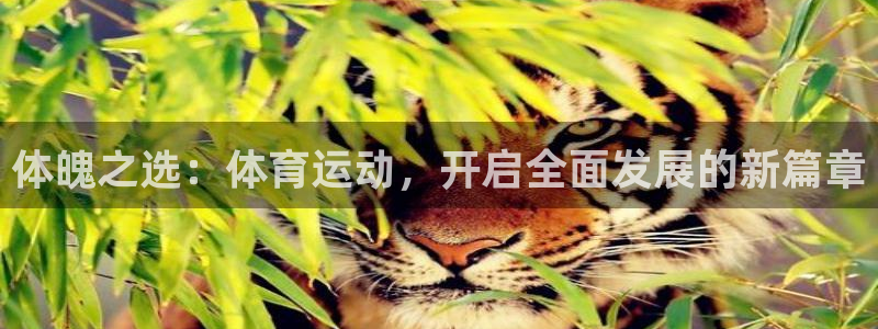 杏宇体育凯捷登陆