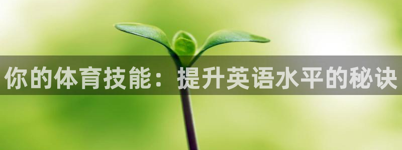 杏宇5注册：你的体育技能：提升英语水平的秘诀