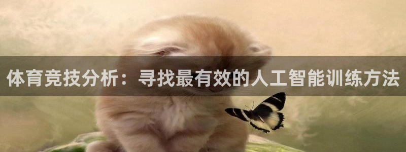 杏宇官网入口：体育竞技分析：寻找最有效的人工智能训练方法