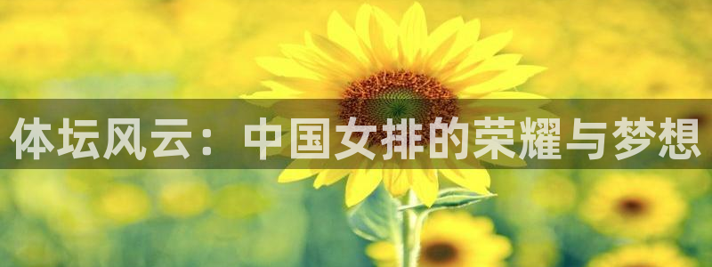 杏宇电子有限公司：体坛风云：中国女排的荣耀与梦想
