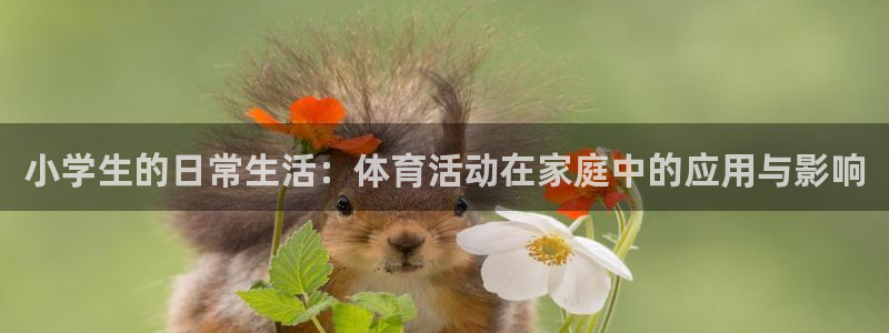 杏宇体育免费注册入口：小学生的日常生活：体育活动在家庭中的应用与影响