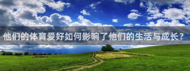 杏宇电子有限公司：他们的体育爱好如何影响了他们的生活与成长？