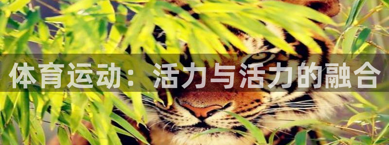 意昂注册：体育运动：活力与活力的融合
