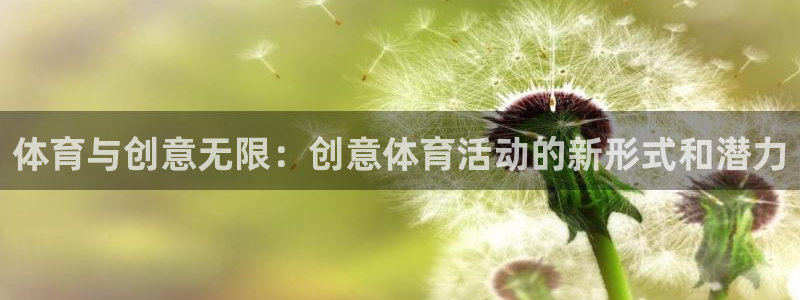 杏宇体育凯捷平台注册：体育与创意无限：创意体育活动的新形式和潜力