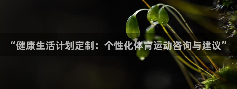 杏宇体育在线注册：“健康生活计划定制：个性化体育运动咨询与建议”