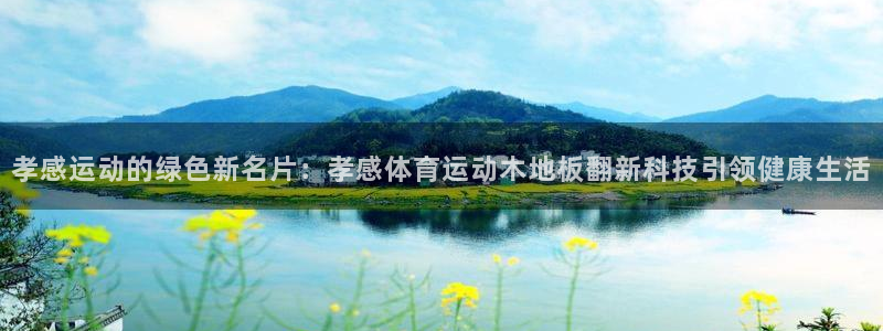 意昂体育4：孝感运动的绿色新名片：孝感体育运动木地板翻新科技引领健康生活