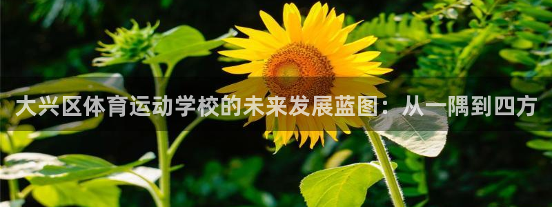 杏宇体育凯捷平台代理：大兴区体育运动学校的未来发展蓝图：从一隅到四方