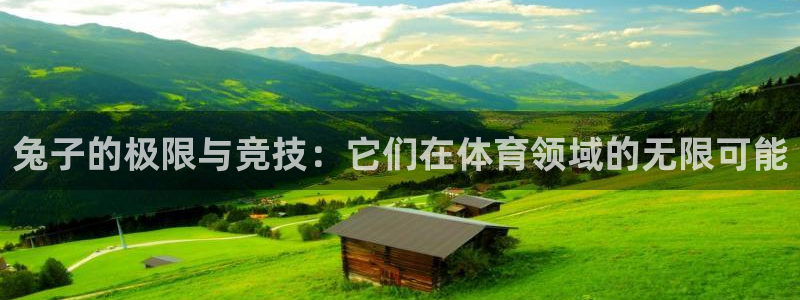 意昂体育官网登录：兔子的极限与竞技：它们在体育领域的无限可能
