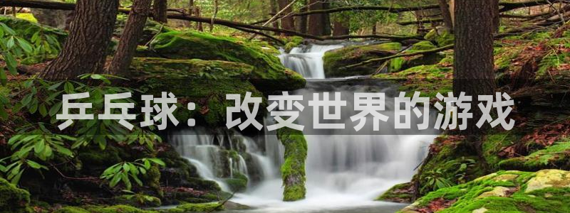杏宇体育凯捷平台主管：乒乓球：改变世界的游戏