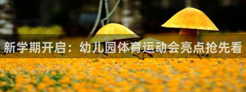 杏宇平台注册入口：新学期开启：幼儿园体育运动会亮点抢先看