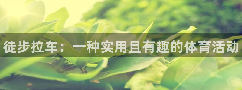 意昂体育官网：徒步拉车：一种实用且有趣的体育活动