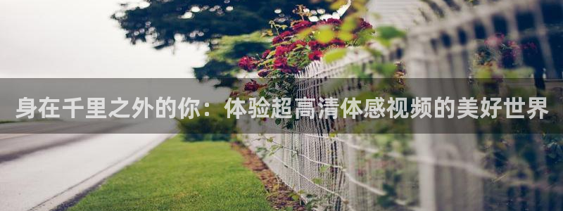 意昂包怎么样：身在千里之外的你：体验超高清体感视频的美好世界