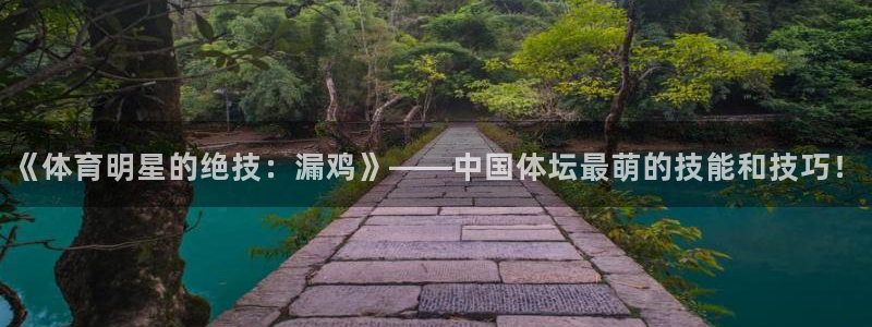 杏宇2注册：《体育明星的绝技：漏鸡》——中国体坛最萌的技能和技巧！