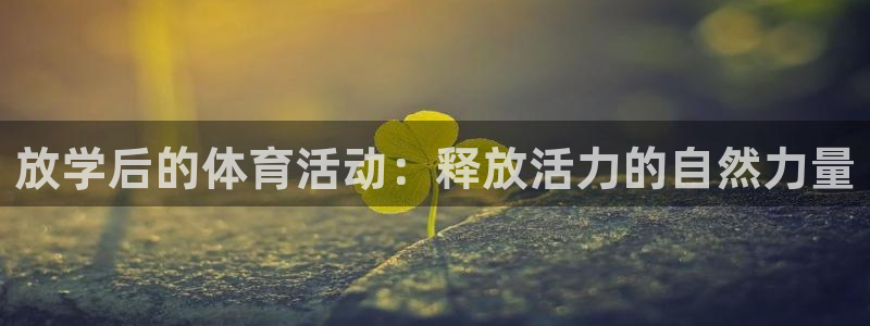 杏宇3登陆：放学后的体育活动：释放活力的自然力量