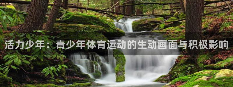 杏宇体育代理申请流程：活力少年：青少年体育运动的生动画面与积极影响