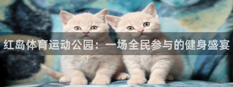 杏宇体育凯捷平台招商：红岛体育运动公园：一场全民参与的健身盛宴