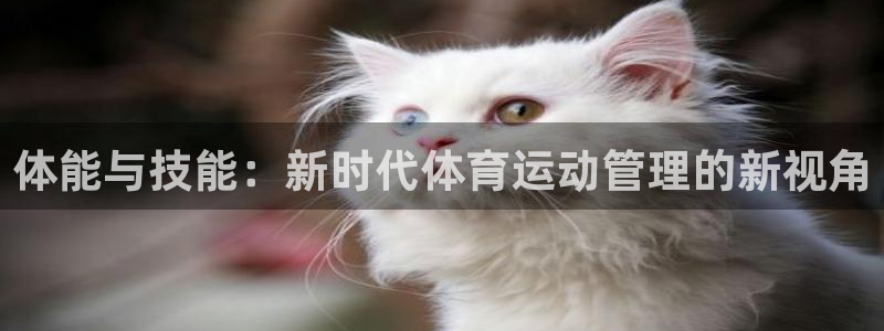 杏宇体育平台总代理：体能与技能：新时代体育运动管理的新视角
