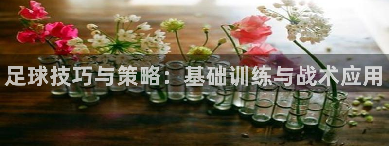 意昂体育官网：足球技巧与策略：基础训练与战术应用